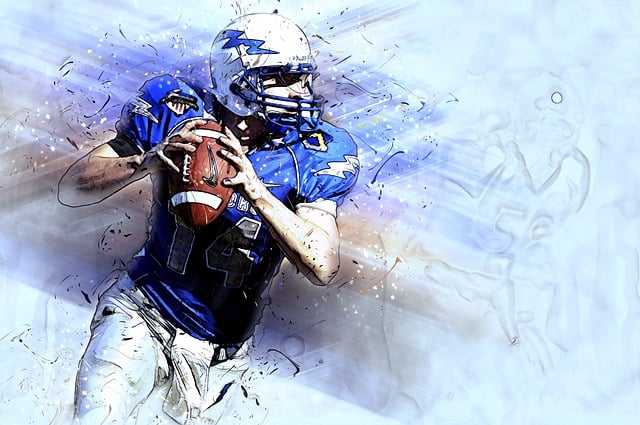 职业发展的 职业发展的