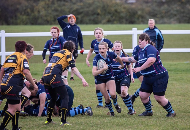 本文将详细 本文将详细